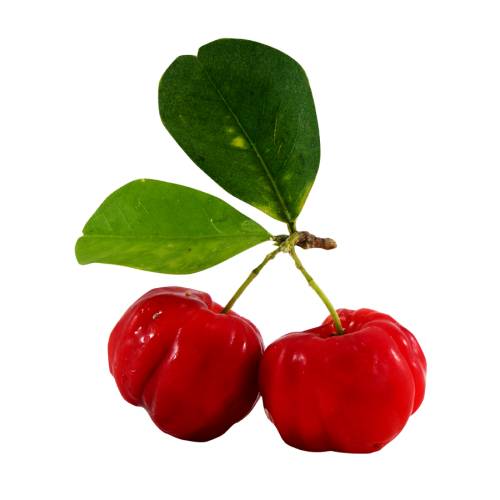 Acerola malpighia emarginata is a tropical fruit bearing shrub or small tree in the family malpighiaceae. common names include acerola barbados cherry west indian cherry.