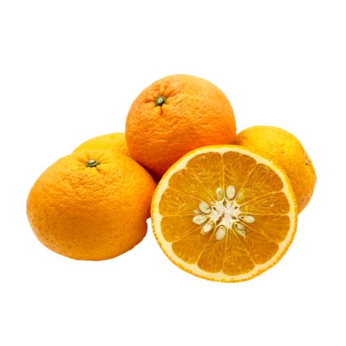Amanatsu or natsumikan are a large citrus orange variety alot like to a navel orange or grapefruit. They have a globular shape slightly flattened at either end. The orange rind easily peels away leaving a thick pith on the outer portion of each segment.