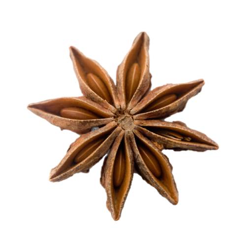 Illicium verum is a evergreen tree native to asia. A spice commonly called star anise and staranise or star anise seed and Chinese star anise or badiane that closely resembles anise in flavor is obtained from the star shaped pericarps of the fruit of I. verum which are harvested just before ripening.