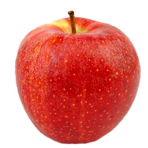 Apple Gala gala apple is an apple cultivar with a sweet mild flavour a crisp but not hard texture and a striped or mottled orange or reddish appearance.