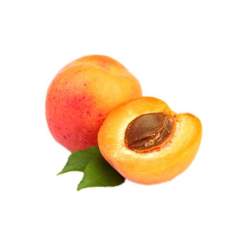 Apricot an apricot is a fruit or the tree that bears the fruit of several species in the genus prunus.