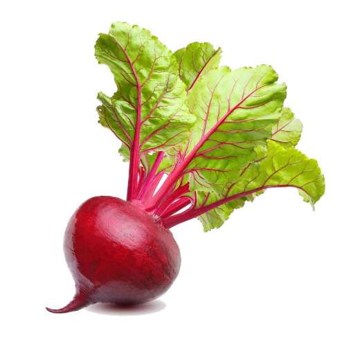 Beetroot is the taproot portion of the beet plant and has a bright red color.