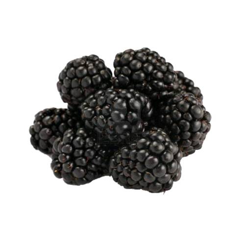 Blackberry pulp is blackberry cut and mashed into small pices and or chunks and best picked by black berry professional.