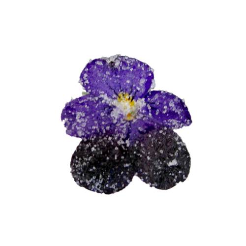 Violets flowers crystallized in sugar also called crystallized violets flowers or glace violets flowers.