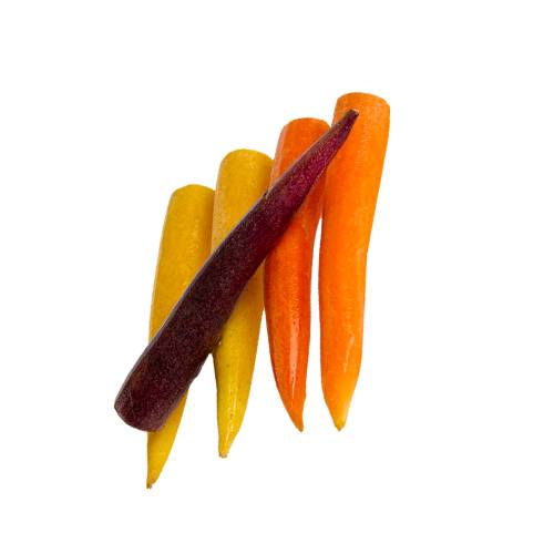 Carrot Baby baby carrot is a small sweet carrot picked when young and come in a range of colors.