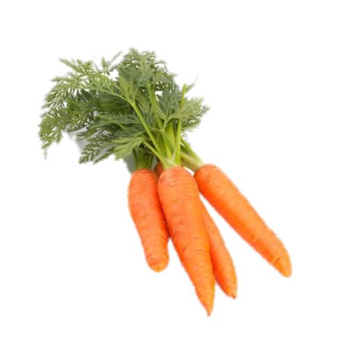 Carrot the carrot is a root vegetable usually orange in colour though purple black red white and yellow cultivars exist. carrots are a domesticated form of the wild carrot daucus carota.
