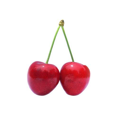 A cherry is the fruit of many plants of the genus Prunus and is a fleshy drupe. The cherry fruits of commerce usually are obtained from cultivars of a limited number of species such as the sweet cherry and the sour cherry.