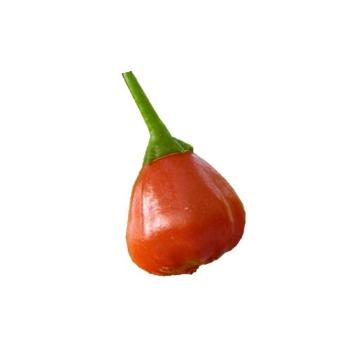 Aji chili has between 30000 to 50000 scoville heat units and is a type of chili pepper also called aji red chilli.