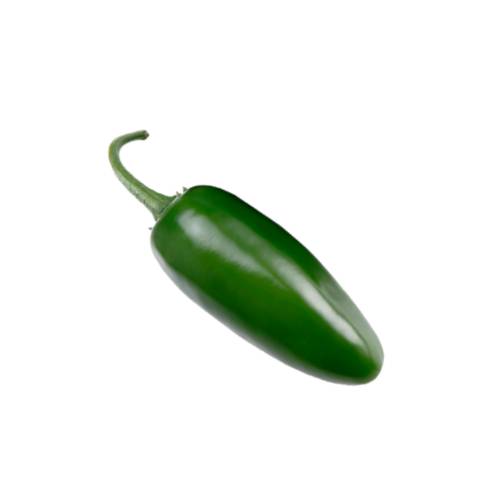 Chili Green Jalapeno jalapeno green chili pepper of the species capsicum annuum can be light in spice or a very hot chilli pepper.