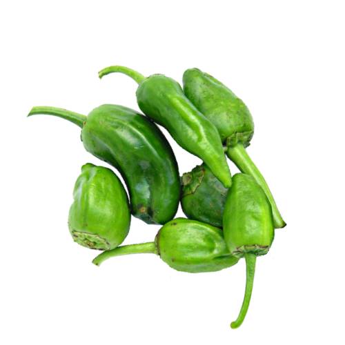 Chili Padron padron chili also called herbon peppers has 500 to 5000 scoville heat units and are a variety of peppers from the municipality of padron in northwestern spain.