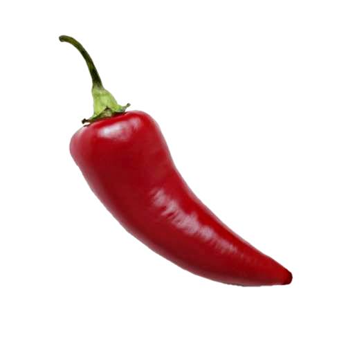 Chili pepper from Nahuatl chilli is the fruit of plants from the genus Capsicum members of the nightshade family Solanaceae.