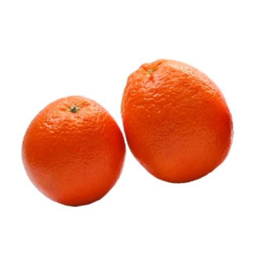 clementine is a tangor a hybrid between a willowleaf mandarin orange and a sweet orange so named in 1902. The exterior is a deep orange colour with a smooth glossy appearance.