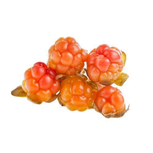 Cloudberry Pulp cloudberry cut and mashed into a pulp also called salmonberry yellowberry bakeapple bakeberry malka or baked apple berry.