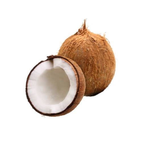 Coconut the coconut tree is a member of the family arecaceae and the only species of the genus cocos. the term coconut can refer to the whole coconut palm or the seed or the fruit which botanically is a drupe not a nut.