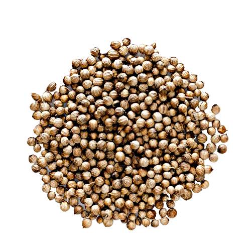 Coriander Seed coriander seeds is an annual herb in the family apiaceae.