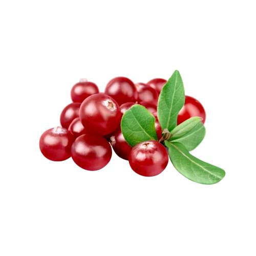 Cranberries are a group of evergreen dwarf shrubs or trailing vines in the subgenus Oxycoccus of the genus Vaccinium.