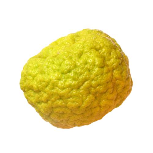 Dangyuja also called daengyuji is a citrus fruit that is a specialty of Jeju Island and has a similar shape and flavour to yuzu but is genealogically a variety.