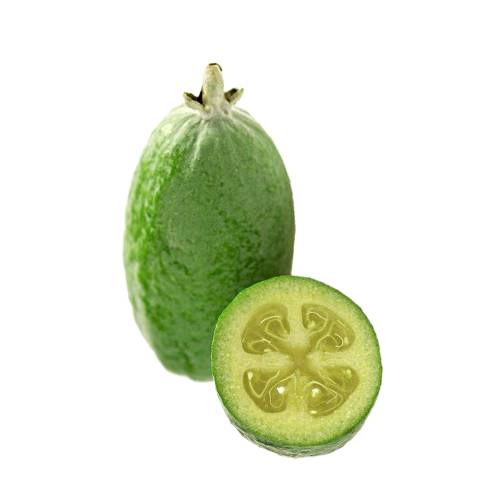 Feijoa feijoa fruit or acca sellowiana is native to brazil common names pineapple guava and guavasteen although it is not a true guava.