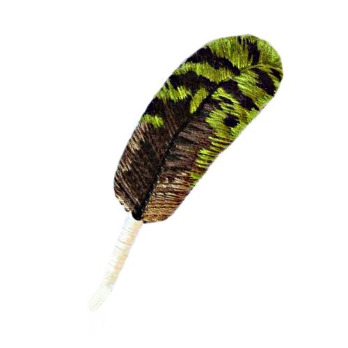 Kakapo Feather kakapo feather from a parrots from new zealand with green and brown foliage.