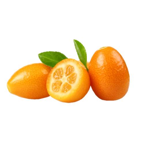 Kumquats are a group of small fruit bearing trees in the flowering plant family Rutaceae.
