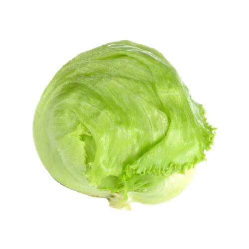 Lettuce Iceberg iceberg has a tight head of crisp leaves and a light green color.
