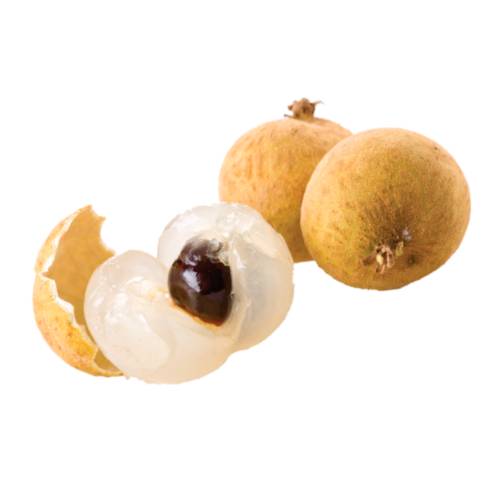 Longan dimocarpus longan commonly known as the longan is a tropical tree and member of the soapberry family to which the lychee rambutan pulasan and mamoncillo guarana korlan pitomba genip and ackee also belong.