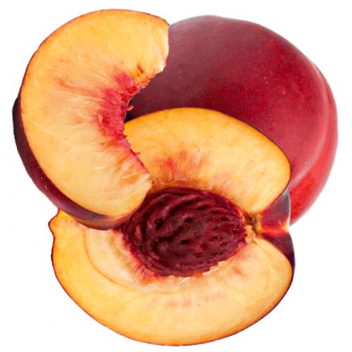 Nectarine nectarine is a smooth skinned peach of the family rosaceae that is grown throughout the warmer temperate regions of both the northern and southern hemispheres.