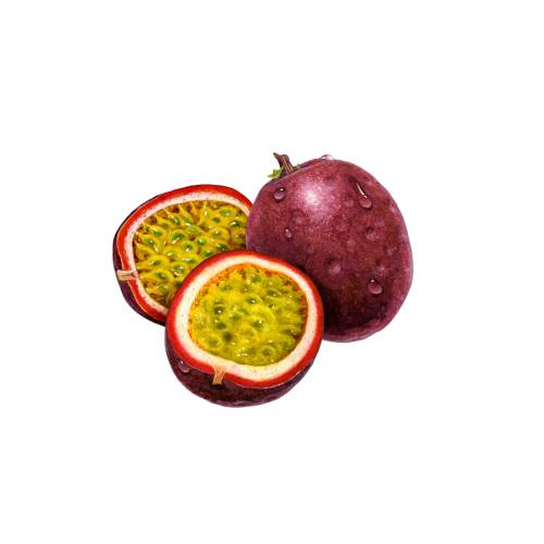 Passiflora edulis is a vine species of passion flower that is native to southern Brazil through Paraguay and northern Argentina. Its common names include passion fruit or passionfruit maracuja maracuya or parcha grenadille or fruit de la passion or lilikoi and mburukuja.