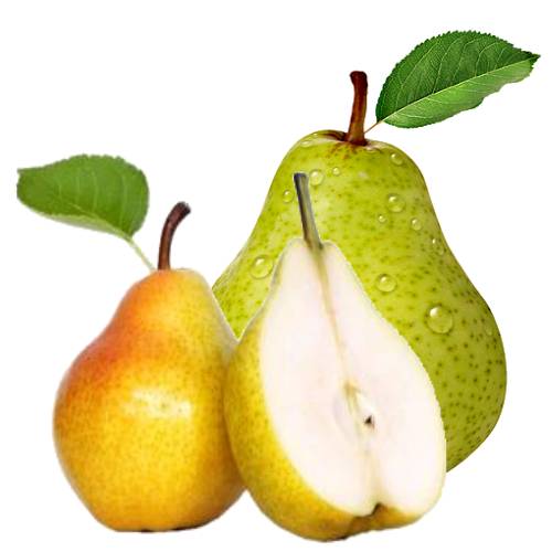 The pear is any of several tree and shrub species of genus Pyrus in the family Rosaceae.