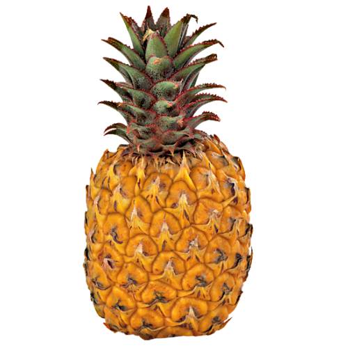 James Queen Pineapple are a large size with reddish orange flesh and yellow inside and leaves are dark green colored with reddish spots.