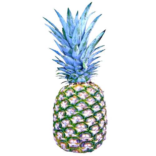 Pernambuco Pineapple is small and has a hard dark green shell and its flesh is orange and very sweet and skin and core are also edible so theres no waste with this pineapple.