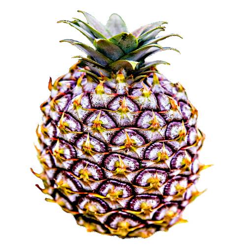 Pink Pineapple is a pineapple feed with pink water and has a light sweet pink flesh and look good.
