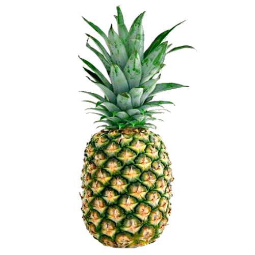 Spanish Jewel Pineapple are cylindrically shaped pineapples and flat deep eyes and wide long dark green colored leaves and orange inside and white outside.