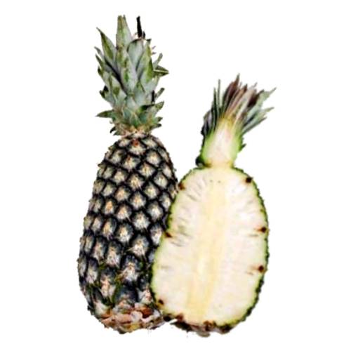African Sugarloaf Pineapple are ripe with a deep golden hue with pink and orange tones abd the flesh is white and light honey flavour and rind with hexagonal segments that contain small spikes.

