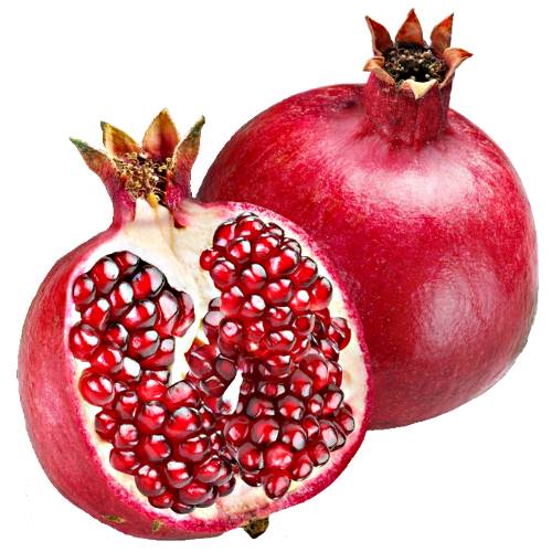 Pomegranate pomegranate is a fruit bearing deciduous shrub or small tree in the family lythraceae.