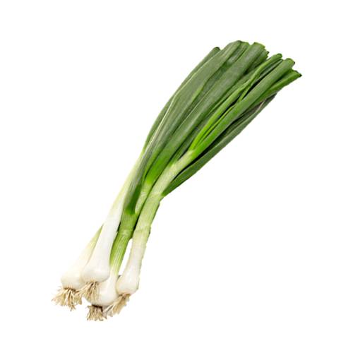 Spring Onion also called Scallion or green onions or sibies are vegetables derived from various species in the genus Allium.