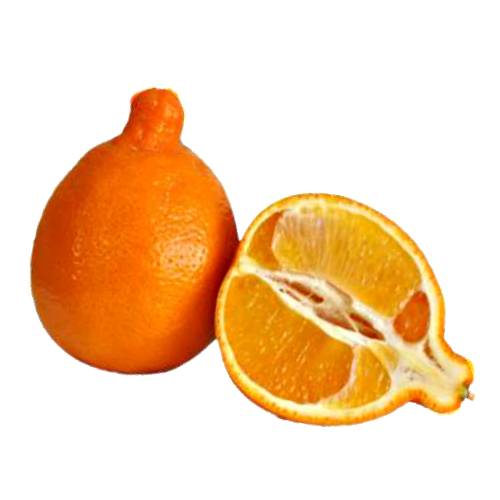 Tangelo is a citrus fruit hybrid of a citrus reticulata variety such as mandarin orange or a tangerine and citrus maxima variety.