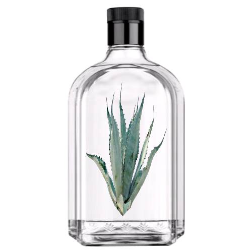 Tequila is a regional distilled beverage and type of alcoholic drink made from the blue agave plant primarily in the area surrounding the city of Tequila Mexican.