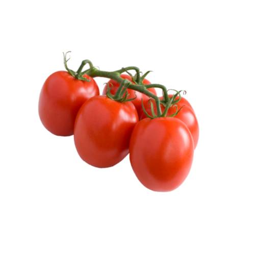 Tomato Pulp tomato pulp or puree are tomatos where seeds and skin removed cut and mashed into small pices and thick.