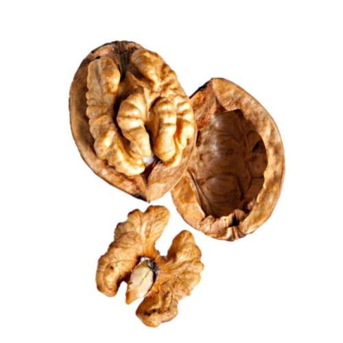Walnut walnut is the nut of any tree of the genus juglans particularly the persian or english walnut juglans regia. technically a walnut is the seed of a drupe or drupaceous nut and thus not a true botanical nut.