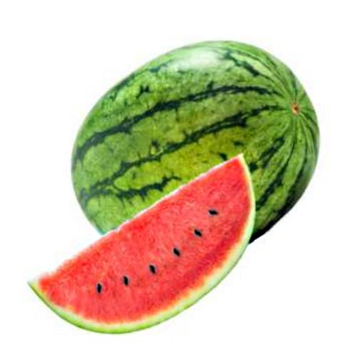 Watermelon citrullus lanatus is a plant species in the family cucurbitaceae a vine like flowering plant from sub saharan africa.